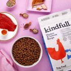 Chicken And Salmon Recipe Dry Dog Food - Kindfull    13lbs