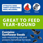20 Lb  Wild Bird Seed Food