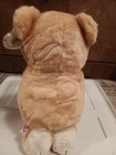 Ty Beanie Baby Buddy  hope  The Bear