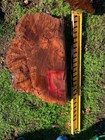 Madrone Birdseye Burl Wood 12  X 12  X 6  Thick Turning Blanks 5 - 10  Moisture