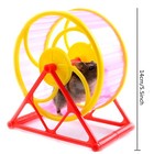 Wheel Running Exercise Scroll Silent Hamster Mouse Rat Gerbil Pet Toy H Ltcykj