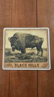 Sticker Black Hills Bufflo Rodeo Poster Bob Coronato Artwork Bufflo Painting  2