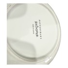 Pottery Barn Reindeer 10 5  Round Serving Bowl Christmas New