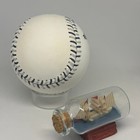Richard Petty Signed Rawlings Ny Yankees Logo Baseball Jsa Coa Nascar Auto A4791
