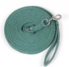 Centaur 25  Cushion Web Lunge Line