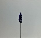 Fabulous Cobalt Venetian Glass Hatpin Hp-143