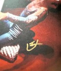 Elton John Diamonds Double Lp Vinyl   Hand Signed Art Card Autographed