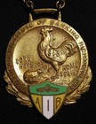 1913 Aib American Institute Of Banking Badge Medal Richmond Va  Whitehead   Hoag