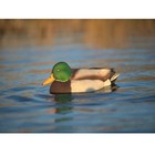Avian-x Power Swimmer Mallard Drake Motion Decoy  Multi Color  avx-psw-mdlh