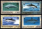 Wwf Collection 10 Sets Montserrat Mozambique Nauru Nevis New Caledonia Niuafo ou