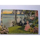 Colourpicture Linen Postcard Set Vintage Florida Cypress Gardens Yucca Flower