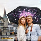 Reversible C-handle Folding Umbrella Double Layer Rain And Sun Umbrella Parasol