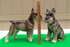 Schnauzer Dogs - Kennel Club By Shafford Pair 10 5  Large Size Vintage Porcelain