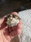 Golden Mica Crystal Cluster Mineral Specimen Display Rock Cluster