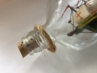 Vintage American Folk Art Ship In A Bottle 8 3 4   
