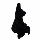 Webkinz Bat Hm367 Plush Stuffed Toy Sealed Code Tag Animal Ganz Halloween