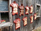 Gory Skinned Torso Halloween Props  Ooak By  Madmat