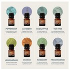 Cliganic The Iconics Essential Oil Set 8 Pack Usda Organic Aromatherapy Oils