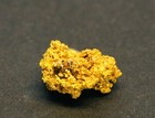 Gold Specimen Crystalline Gold  1 05 Grams  Rochester M d   Madison Co  Mt