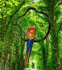 Scarlet Macaw Parrot Statue In Wood Hanging Vine  17  In Head To Tail Tiki Bar