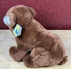 R Dakin Bean Bags Vintage 1982 Huckle Brown Bear 10    Plush Stuffed Animal W tag