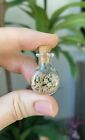 A Bottle Of 30 Crinoid Star Fossils