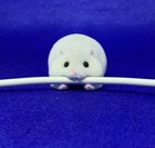 Gray  laying On Stomach  Hamster Animal Usb Cable Bite Protector Holder