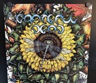 Grateful Dead 1995 Tour Poster 24 X 15 - Discounted