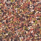 Wild Delight Woodpecker  Nuthatch   Chickadee Sunflower Seeds Wild Bird Food
