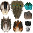 100 Pcs Natural Spotted Feathers  7 Styles Mixed Feathers For Crafts   Diy