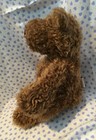 Gund Little  schlepp  Bear
