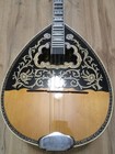 Greek Bouzouki  Aproximately 1970 - 1980  Softcase   Pickup   300 Backing Track 