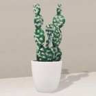 Artificial Cactus Faux Plant lifelike Small Fake Plants Succulents Strip Fleshy