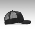 Lion Head Blackout Cap