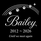Pet Stone  Memorial  Grave Marker Granite Plaque  Headstone Dog Cat Memorial 6x6