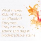 Kids     N     Pets Stain   Odor Remover Cleans