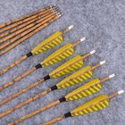 30  Carbon Arrows Sp500 Hunting Arrows 4  Feather Archery Compound Recurve Bow