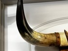 Vintage Mounted Steer Horns Bull Cow Wall Mount Western Home Decor Rack Cabin