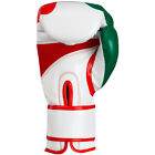 Title Boxing Infused Foam El Combate Mexico Hook And Loop Training Gloves