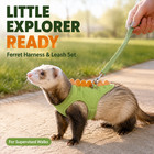 Ferret Harness And Leash Set Adjustable Dinosaur Vest For Guinea Pig Small Pet