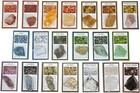 50 Different Rough Stones With Id Cards - The Best Starter Rock Collection