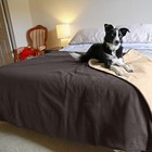 Waterproof Warm Sherpa Soft Fleece Pet Blanket Large Cat Dog Bed Mat Pad Cushion