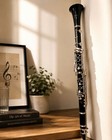 Buescher Aristocrat Clarinet With Case Student Instrument Usa Great Condition
