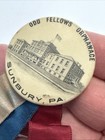 Antique Sunbury   Pa  Odd Fellows Orphanage Pinback Button