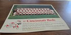 Original Vintage  1967 Cincinnati Reds 8x10 Team Photo Rose Perez Harper Pinson