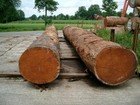 One Wide Long Board Kiln Dried 4 4 African Mahogany Lumber Wood 46  X 10  X 1 