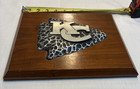 Kansas City Chiefs Arrowhead Memorial Limited Edition Plaque 1972   B 0992