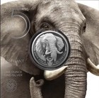 2021 1 Oz South Africa Big Five Series Ii Elephant  999 Silver Coin