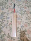 Mb Malik Plain Cricket Bat English Willow