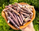 4 Oz Bulk Lot Natural Sea Urchin Spines 2-4  - Ocean Crafts   Coastal Decor